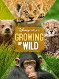 voir la fiche complète du film : Growing Up Wild