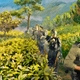 photo du film Jungle rouge