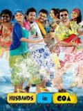voir la fiche complète du film : Husbands in Goa