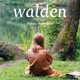 photo du film Walden
