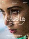 voir la fiche complète du film : Volubilis