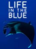 voir la fiche complète du film : Life in the Blue