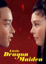 voir la fiche complète du film : Little Dragon Maiden