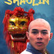 photo du film Martial Arts of Shaolin