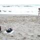 photo du film Le Metteur en scène de mariages