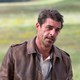 photo du film Belle et Sébastien, l'aventure continue