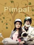 voir la fiche complète du film : Pimpal