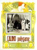 Calino Polygame