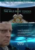 The Wild Blue Yonder