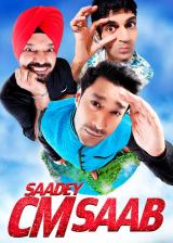 Saadey CM Saab