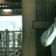 photo du film Les Animaux anonymes