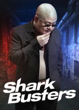 voir la fiche complète du film : Shark Busters
