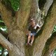 photo du film Arbres et forêts remarquables (2), un univers à explorer