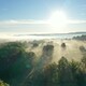 photo du film Arbres et forêts remarquables (2), un univers à explorer