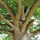 photo du film Arbres et forêts remarquables (2), un univers à explorer