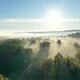 photo du film Arbres et forêts remarquables (2), un univers à explorer