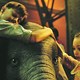 photo du film Dumbo