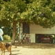 photo du film Storia Di Vacanze