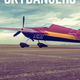 photo du film Skydancers