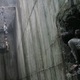 photo du film The Host