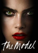 The Model