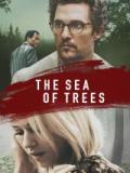 voir la fiche complète du film : The Secret