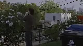 Extrait vidéo du film  Etat d urgence