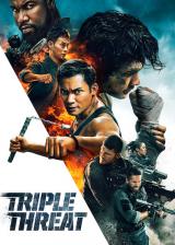 voir la fiche complète du film : Triple Threat