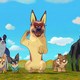 photo du film Nous, les chiens