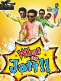 voir la fiche complète du film : What the Jatt!!