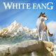 photo du film White Fang