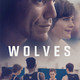 photo du film Wolves