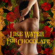 photo du film Like Water for Chocolate