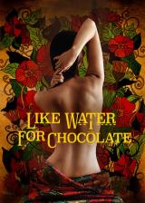 voir la fiche complète du film : Like Water for Chocolate