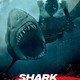 photo du film Shark Night