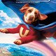 photo du film Underdog