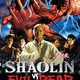 photo du film Shaolin Vs. Evil Dead