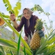 photo du film Les Bodin's en Thaïlande