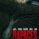 photo du film Rapaces