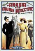 voir la fiche complète du film : Arabia : The Equine Detective