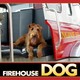 photo du film Rex, chien pompier