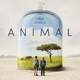 photo du film Animal