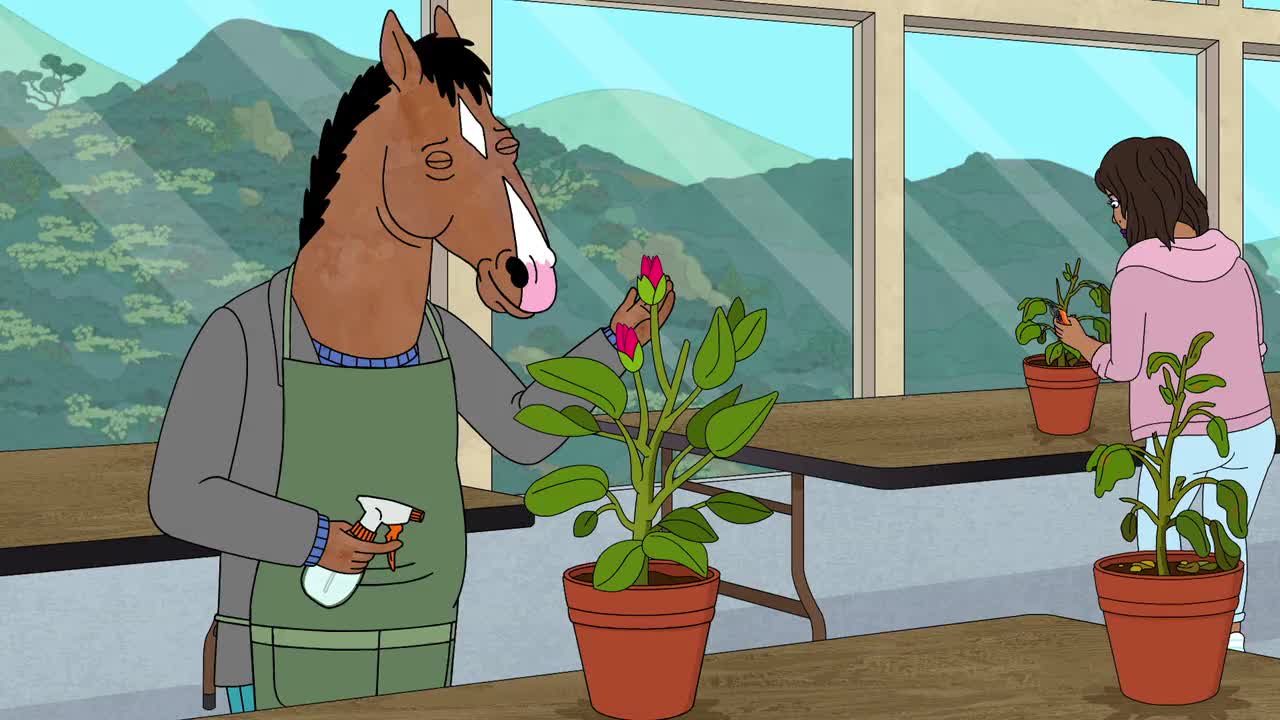 Un extrait de la série  Bojack horseman