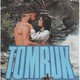 photo du film Tomruk