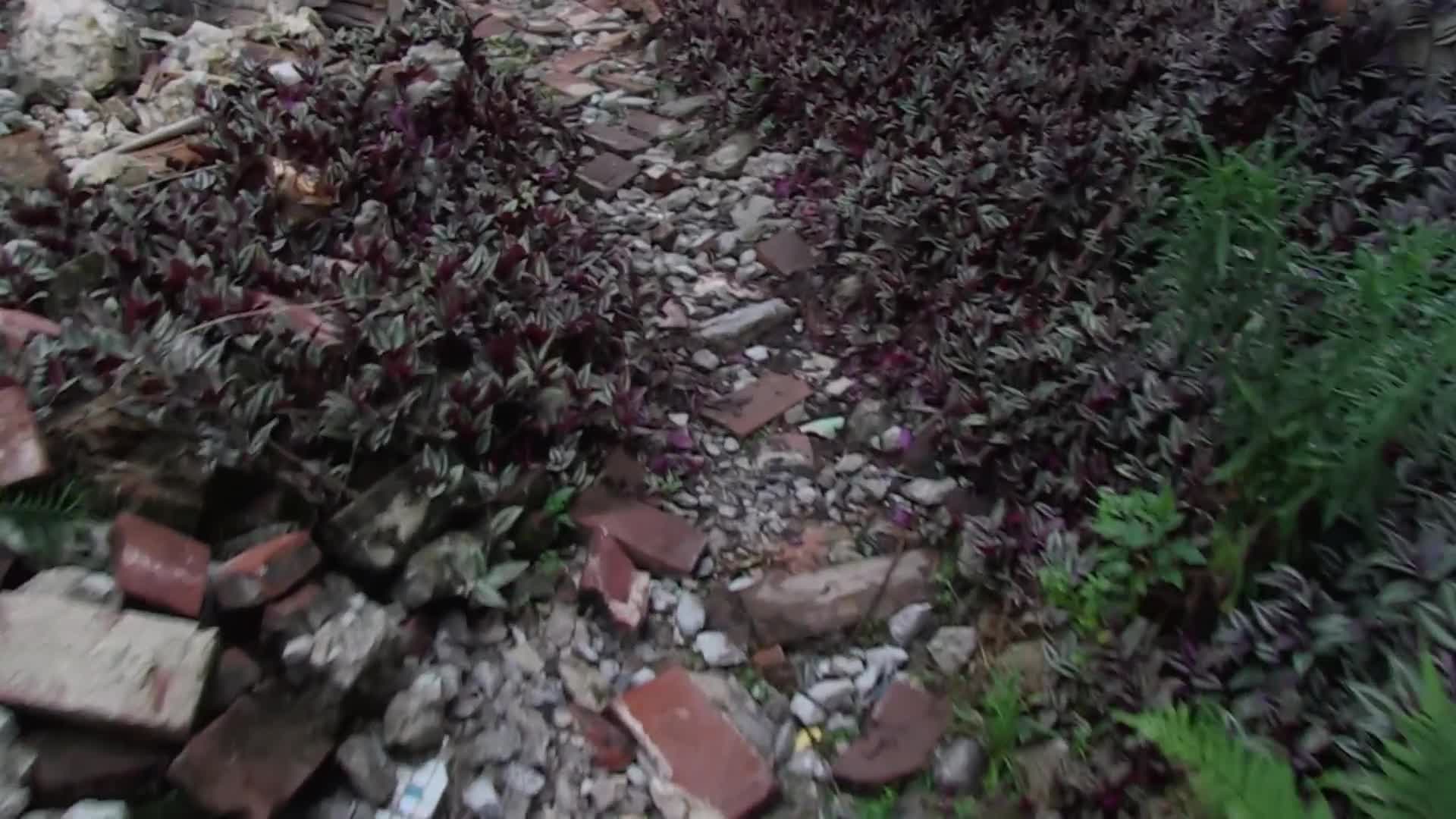 Extrait vidéo du film  Guanzhou, une nouvelle ère