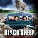 photo du film Black Sheep