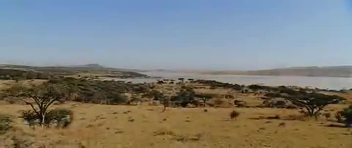 Extrait vidéo du film  Primeval