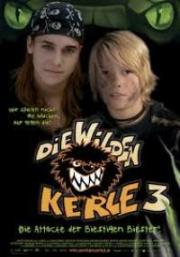 voir la fiche complète du film : Die Wilden Kerle 3