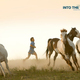 photo du film Into the Wild