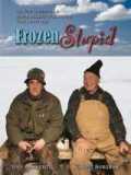voir la fiche complète du film : Frozen Stupid